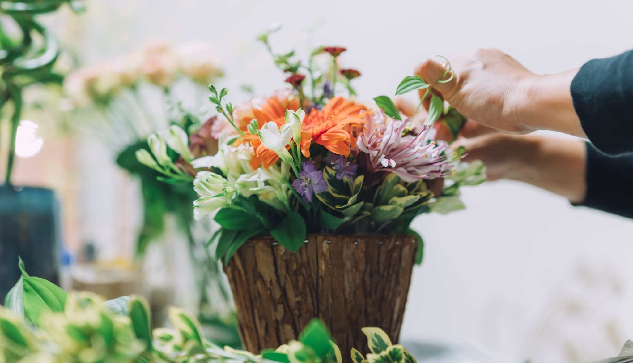 法人向けお祝い